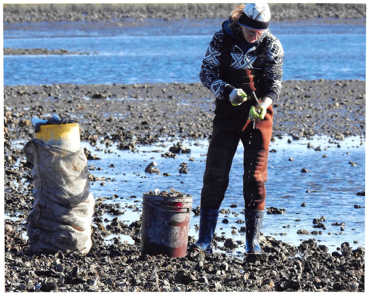 Commercial Shellfish Harvesting Big Bend Shellfish Trail